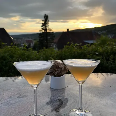 Apartman Emi2 Modern Free Parking Near Swiss Border Waldshut-Tiengen