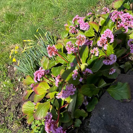 Emi2 Modern Free Parking Near Swiss Border * Waldshut-Tiengen