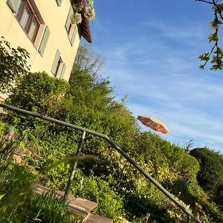 Emi2 Modern Free Parking Near Swiss Border Apartman *