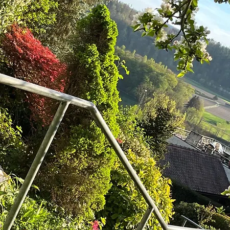 Apartman Emi2 Modern Free Parking Near Swiss Border Waldshut-Tiengen