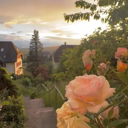 Emi2 Modern Free Parking Near Swiss Border Apartman Waldshut-Tiengen