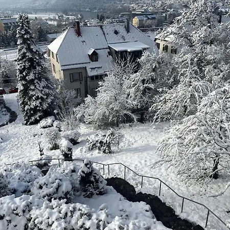 Emi2 Modern Free Parking Near Swiss Border Apartment