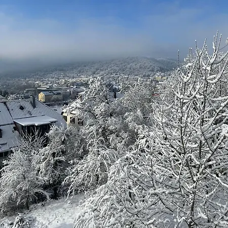 Apartment Emi2 Modern Free Parking Near Swiss Border *