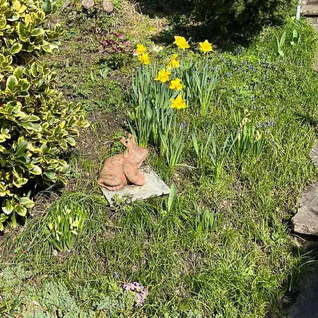 Emi2 Modern Free Parking Near Swiss Border Apartment Waldshut-Tiengen