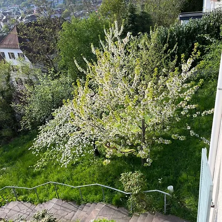 Apartman Emi2 Modern Free Parking Near Swiss Border *