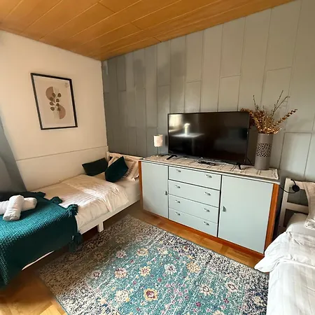 Emi2 Modern Free Parking Near Swiss Border * Waldshut-Tiengen