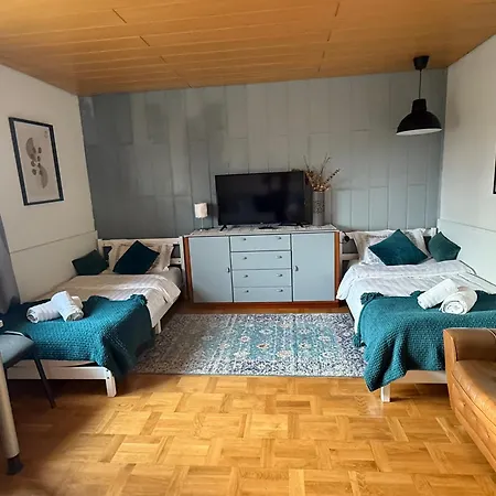 Emi2 Modern Free Parking Near Swiss Border