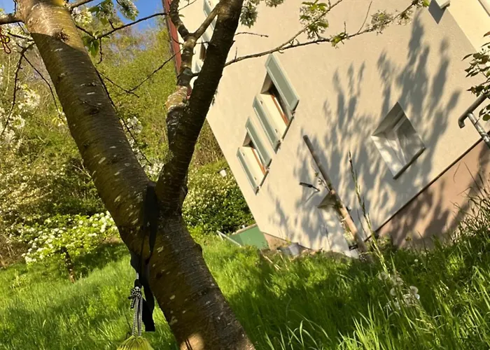 شقة Emi2 Modern Free Parking Near Swiss Border