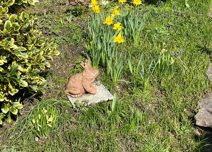 Emi2 Modern Free Parking Near Swiss Border شقة فالدزهوت-تينغن