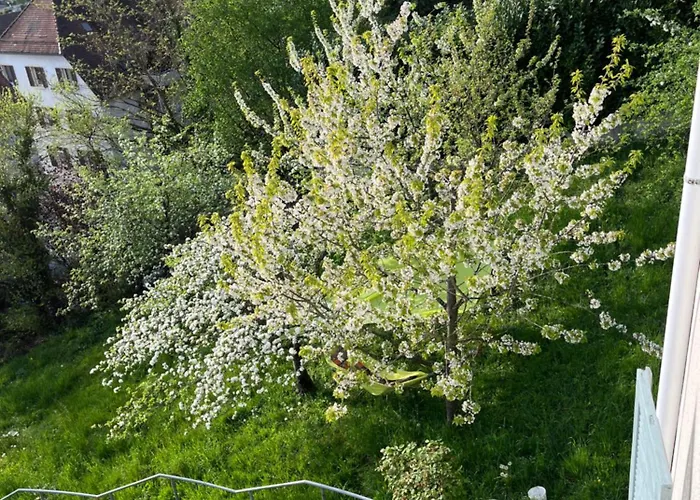 شقة Emi2 Modern Free Parking Near Swiss Border *