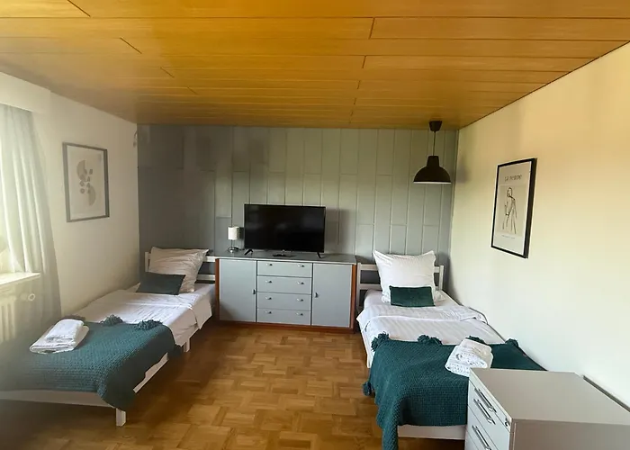 Emi2 Modern Free Parking Near Swiss Border شقة