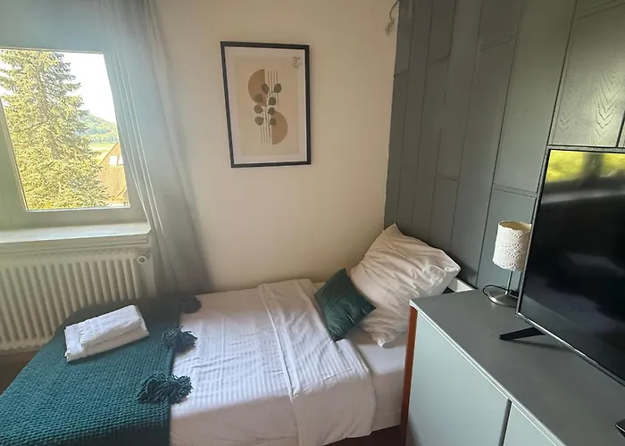 Emi2 Modern Free Parking Near Swiss Border شقة فالدزهوت-تينغن