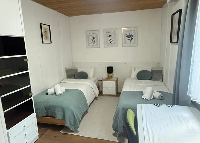 شقة Emi2 Modern Free Parking Near Swiss Border فالدزهوت-تينغن