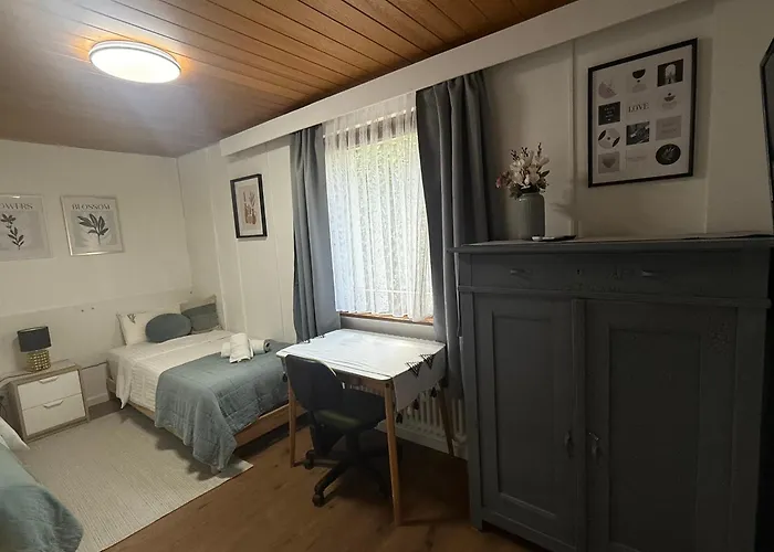 Emi2 Modern Free Parking Near Swiss Border شقة فالدزهوت-تينغن