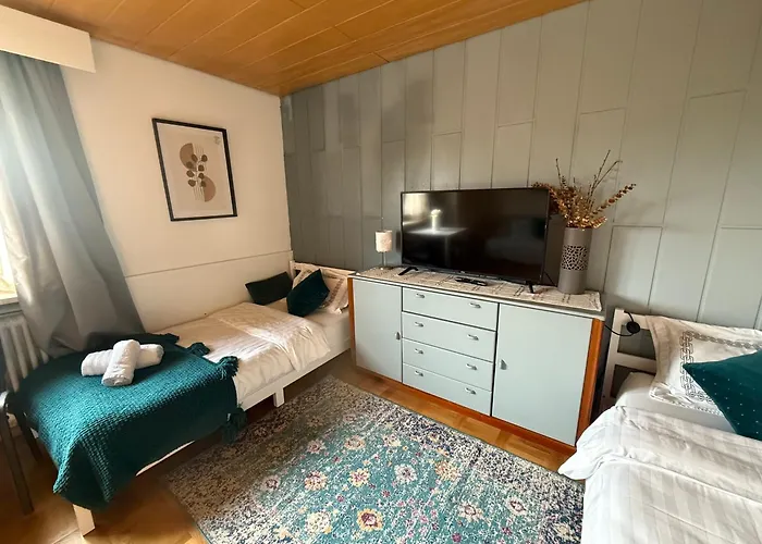 Emi2 Modern Free Parking Near Swiss Border * فالدزهوت-تينغن