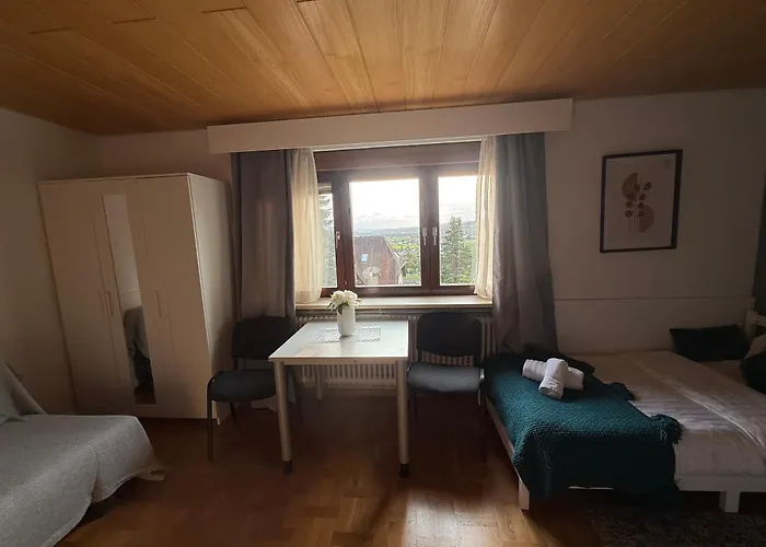 Emi2 Modern Free Parking Near Swiss Border فالدزهوت-تينغن